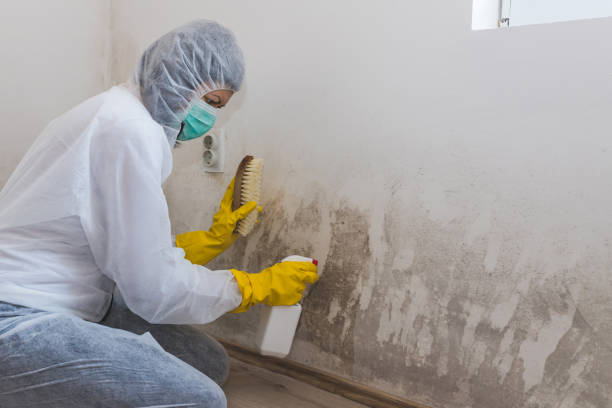 Best Real Estate Mold Inspection  in Rio Pinar, FL