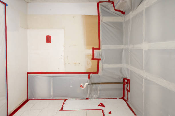 Trusted Rio Pinar, FL Mold Removal Experts