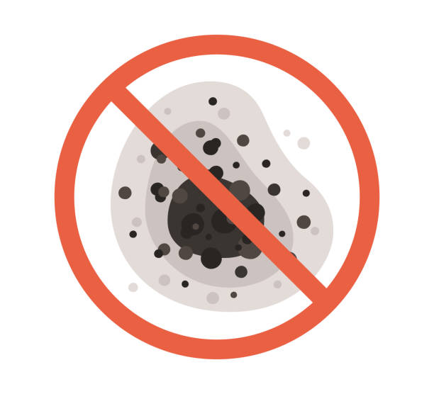 Best Dehumidification Services  in Rio Pinar, FL