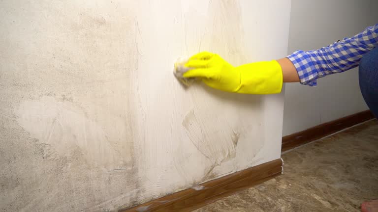 Best Mold Odor Removal Services  in Rio Pinar, FL